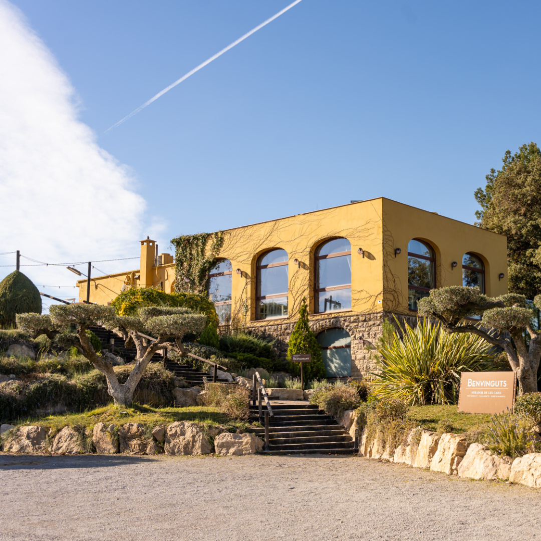 VISITA RESERVA LLOPART + MIRADOR DE LES CAVES