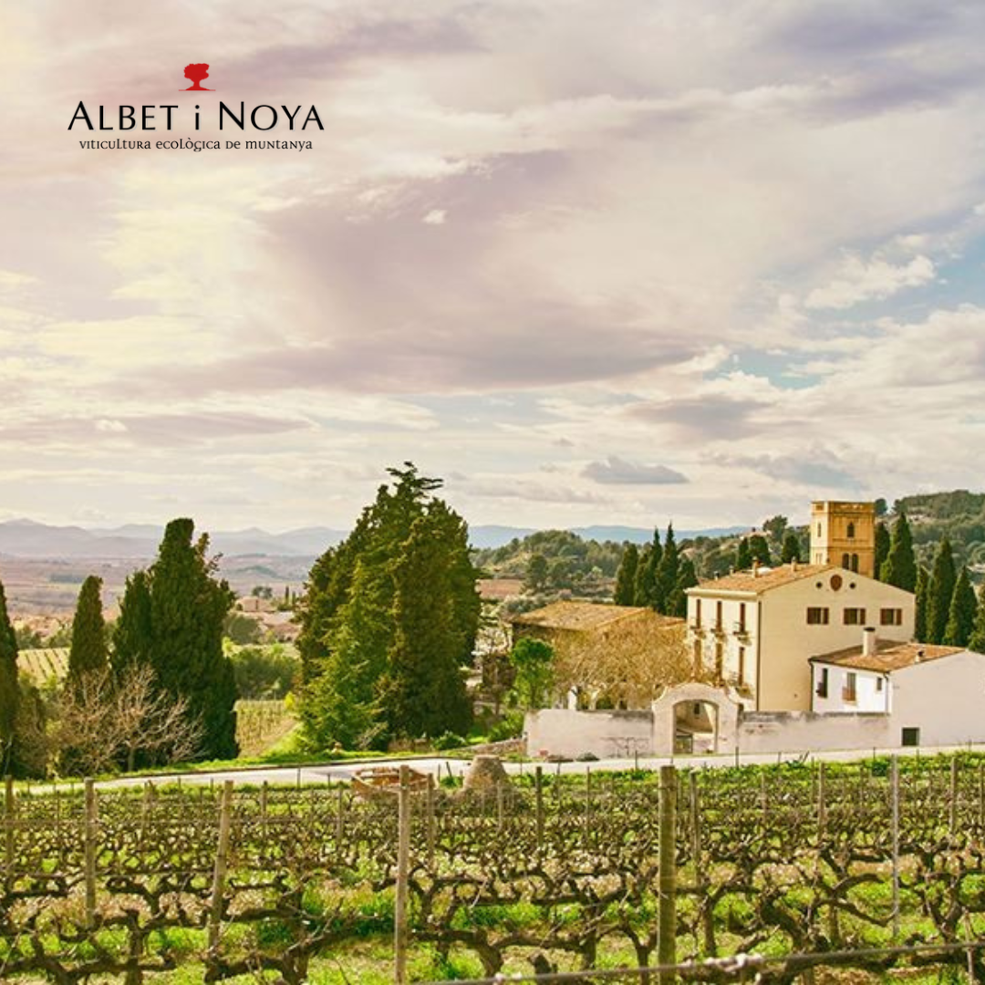 VISITA CELLER ALBET I NOYA + MIRADOR DE LES CAVES