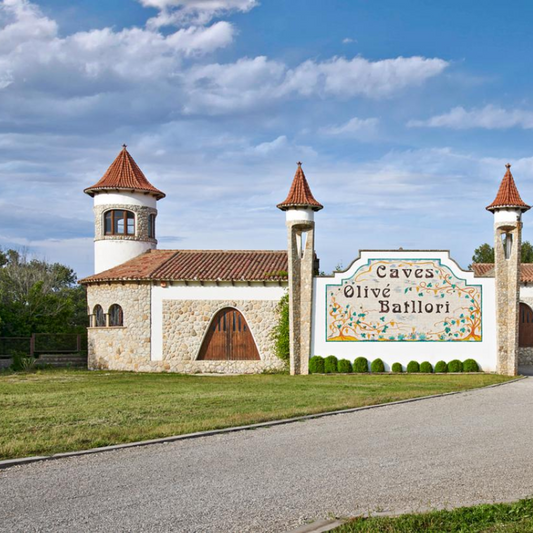 VISITA CELLER FINCA BATLLORI + MIRADOR DE LES CAVES